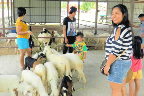 Parichat & Ich - 2016 Sheep Farm Pattaya 15