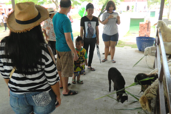 Parichat & Ich - 2016 Sheep Farm Pattaya 16