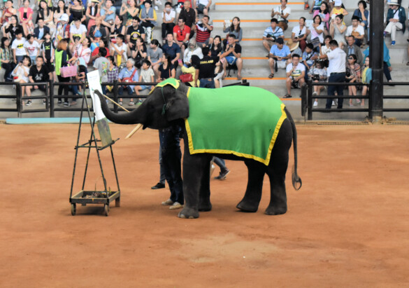 Parichat und Ich - 2018_Elephant Show 06