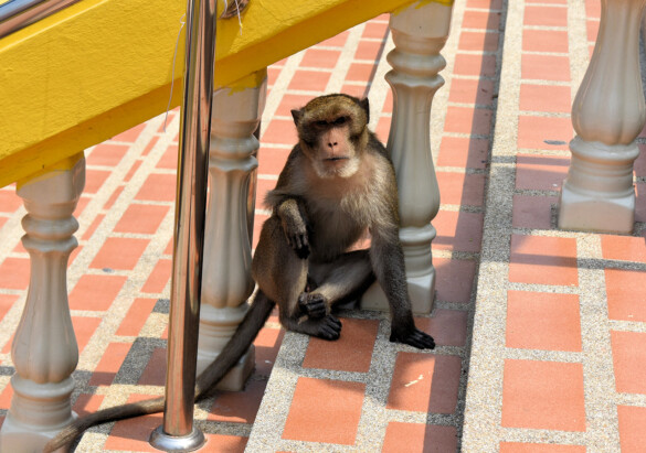 Parichat und Ich - 2018_Hua Hin 08