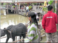 Parichat & Ich: 2011 Pattaya Floating Market 07