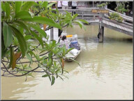 Parichat & Ich: 2011 Pattaya Floating Market 08