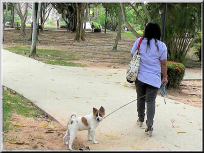 Parichat & Ich: 2011 Wat Yansangwararam & Khao Chi Chan