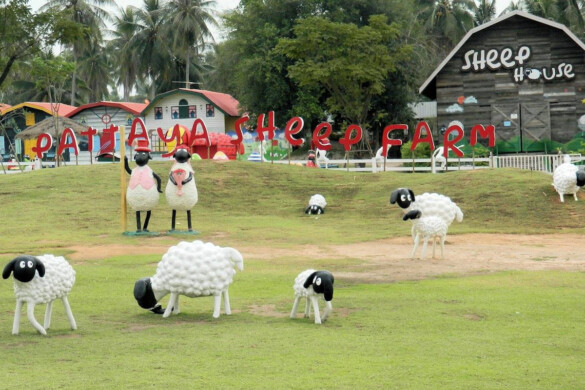 Parichat & Ich - 2015 Sheep Farm Pattaya 04