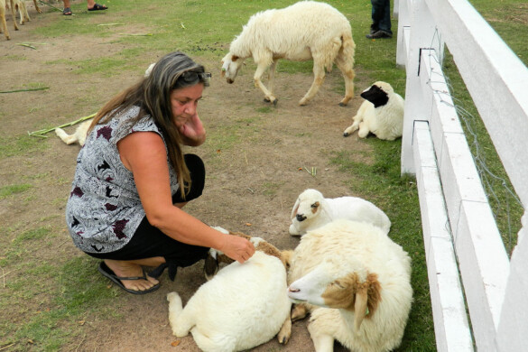 Parichat & Ich - 2015 Sheep Farm Pattaya 13