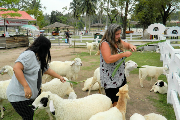 Parichat & Ich - 2015 Sheep Farm Pattaya 15