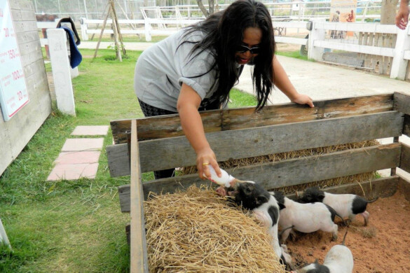 Parichat & Ich - 2015 Sheep Farm Pattaya 17